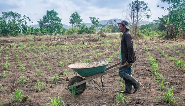 Ante la sequía, esta es la “mano” que dará el gobierno a los pequeños productores