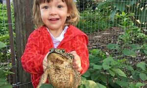 Jazmín, la princesita de los sapos – Prensa 5