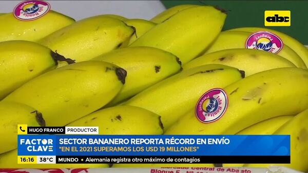 Sector bananero deporta récord en envío - Factor Clave - ABC Color