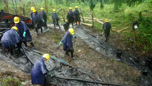 Nuevo derrame de petróleo en la Amazonía peruana, presuntamente provocado - MarketData