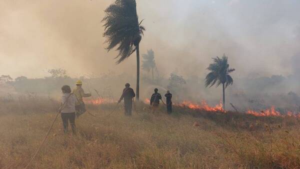 Crónica / Incendio en zona de Ayolas podría llegar a la represa de Yacyretá