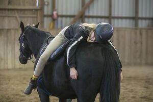 Beneficios de la terapia con caballos - Mascotas - ABC Color