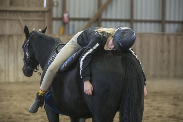 Beneficios de la terapia con caballos - Mascotas - ABC Color