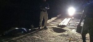 Un hombre fue asesinado de varios disparos en Coronel Oviedo - Nacionales - ABC Color
