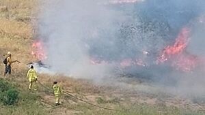 Incendio de pastizales en zona de Yacyretá - Nacionales - ABC Color