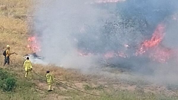 Incendio de pastizales en zona de Yacyretá  - Nacionales - ABC Color