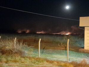 Incendio avanza imparable en área de Yacyretá - Nacionales - ABC Color