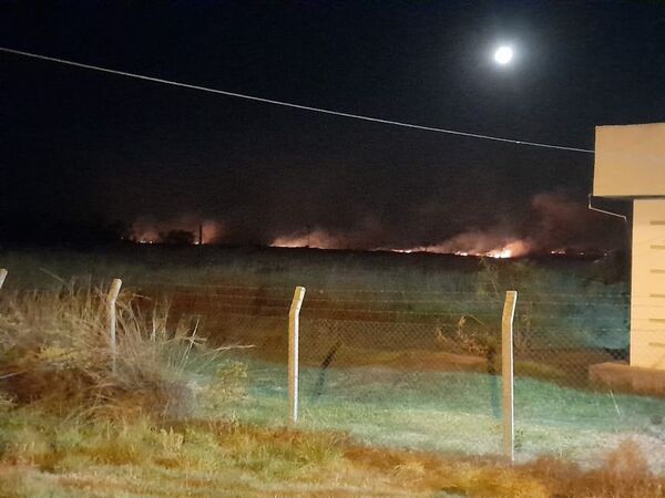 Incendio avanza imparable en área de Yacyretá - Nacionales - ABC Color