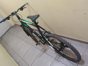 Recuperan en Capiatá bicicleta de hombres con antecedentes - Nacionales - ABC Color