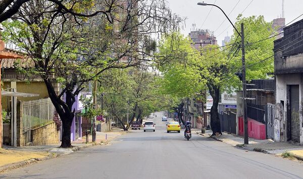 MOPC sigue sin cerrar contrato del inexistente tramo céntrico del metrobús - Nacionales - ABC Color