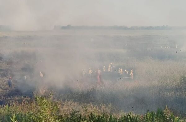 Focos de incendio en zona de Yacyretá fueron controlados pero no sofocados - Nacionales - ABC Color