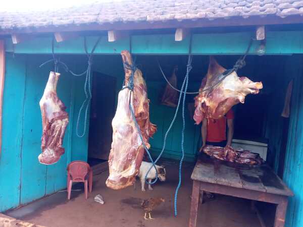 Sorprenden a dos abigeos en pleno faenamiento en San Pedro del Paraná