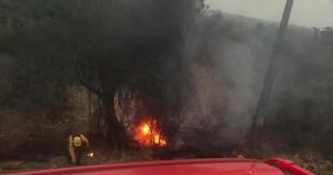 SEN: ley de manejo de fuego permitirá aclarar responsabilidades, según Roa