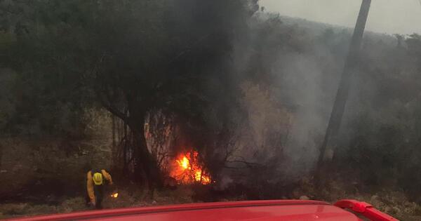 SEN: ley de manejo de fuego permitirá aclarar responsabilidades, según Roa