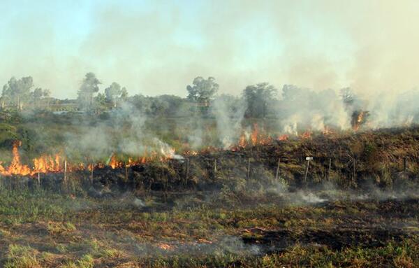 Ministro de la SEN asegura que ley de manejo de fuego subsanará vacíos que hoy existen