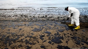 Diario HOY | Sombrío balance de derrame petrolero en Perú: aves muertas y pescadores sin trabajo