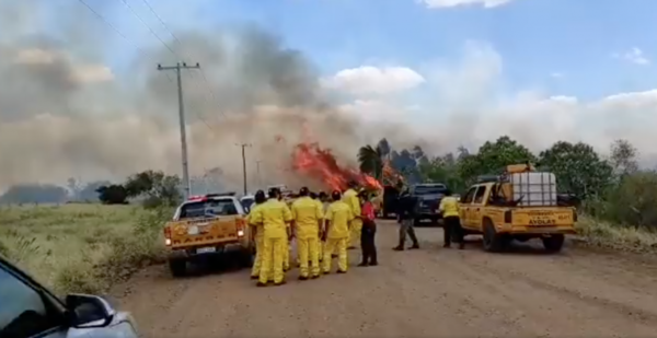 Diario HOY | Fuertes vientos y el intenso calor reavivaron incendio en Ayolas
