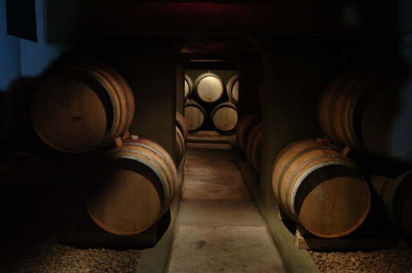 Argentina marca un récord en exportaciones de vinos fraccionados en 2021 - MarketData
