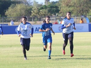 Los trabajos no cesan - APF