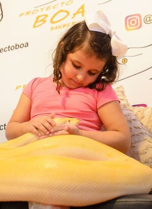 Proyecto Boa: atractivo turístico que derriba mitos y fomenta la educación ambiental - Brand Lab - ABC Color