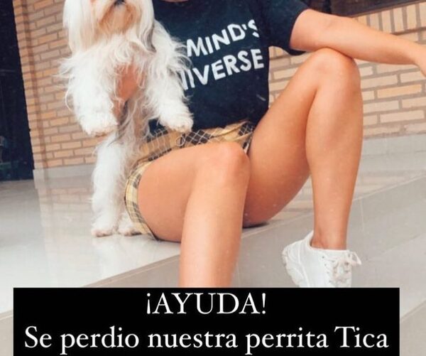 La desesperación de actriz: se perdió su perrita