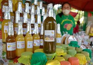 Festival del Mango continúa con gran éxito en Areguá •