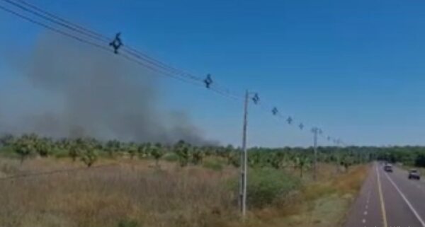 No logran controlar incendio en humedales del lago Ypacaraí   - Nacionales - ABC Color