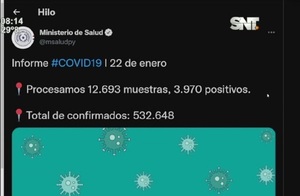 Informe Covid-19 del 22 de enero - SNT