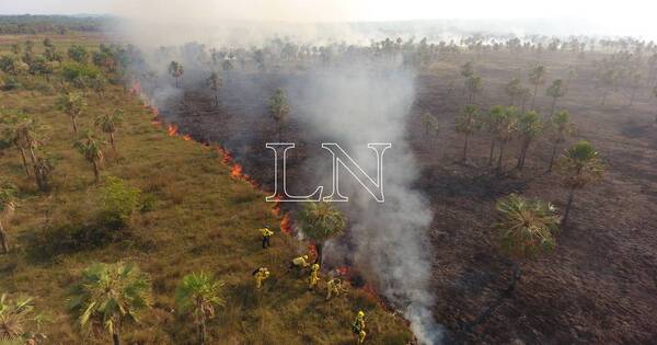 La Nación / Bomberos reportan este domingo incendios forestales en distintas ciudades