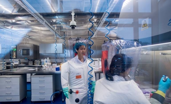 Diario HOY | Laboratorio de Wuhan creó ocho virus, dos muy infecciosos para los humanos