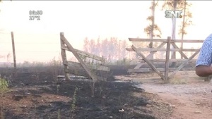 Incendios forestales no dan tregua a los Bomberos Voluntarios - SNT