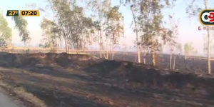 Incendio forestal en Quyquyho - C9N