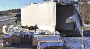 EEUU: hallan y sacrifican a monos de laboratorios que escaparon de un camión