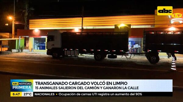 Transganado cargado con 15 animales volcó en Limpio - ABC Noticias - ABC Color