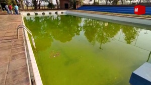 BUSCAN REACTIVAR LAS PILETAS COMUNITARIAS DE LA EX DIBEN - Itapúa Noticias