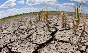 Hasta marzo continuarían las altas temperaturas y la sequía – Prensa 5