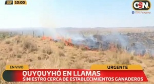 Reportan incendios forestales en Quyquyhó
