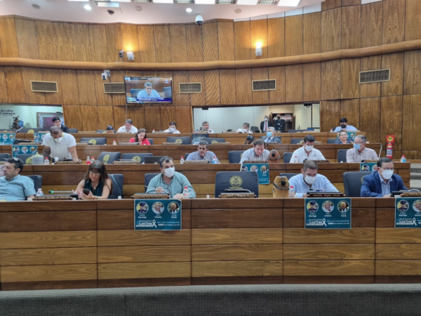 Diputados aprueban ampliación de Ley de Emergencia Sanitaria - Megacadena — Últimas Noticias de Paraguay
