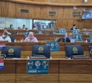 Diputados aprueban con modificaciones Ley de Emergencia - Paraguay.com