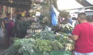 Mercado 4: Remedios yuyos se queman u aumentan su precio - SNT
