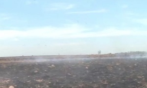 Quyquyhó en llamas: ¡Basta de incendio forestales! - SNT