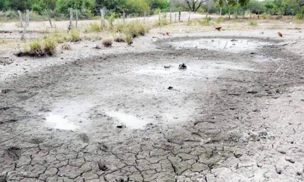 Declaran emergencia por sequía en Paraguay – Prensa 5