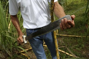 Muere joven macheteado en el brazo en Pdte. Franco