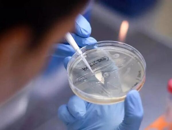 Ómicron: ¿es el fin de la pandemia del Covid-19? · Radio Monumental 1080 AM