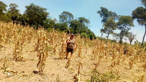 Plantean declarar emergencia nacional por la sequía para asistir a productores