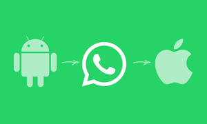 WhatsApp permitirá transferir chats de Android a iOS - OviedoPress