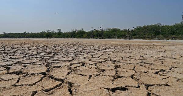 La Nación / Los diputados postergaron declarar emergencia por sequía