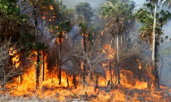 El uso de tapabocas no solo protege del Covid-19, sino también del aire muy contaminado - OviedoPress