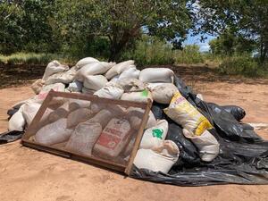 Senad destruyó más de 6 toneladas de marihuana tras operativo en Amambay - Megacadena — Últimas Noticias de Paraguay