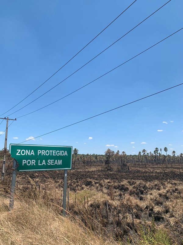 Ariel Oviedo: “El analfabeto en tema ambiental” - El Independiente